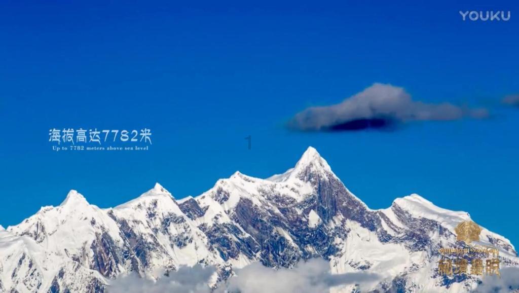 互太纺织(01382.HK)获执行董事杜结威增持9.3万股