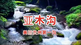 华联汇垠被撤销管理人登记：无合规风控负责人等
