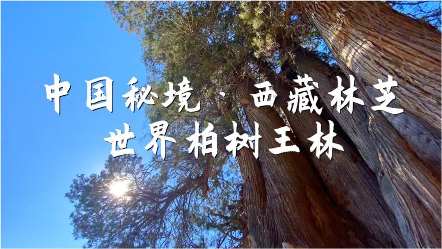 媒体:朝鲜宣布1月30日进行了“箭矢-2”战略巡航导弹发射