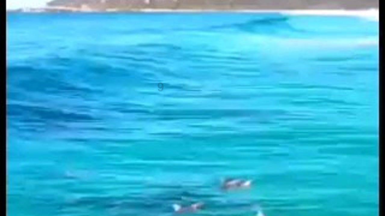 记者大逃脱