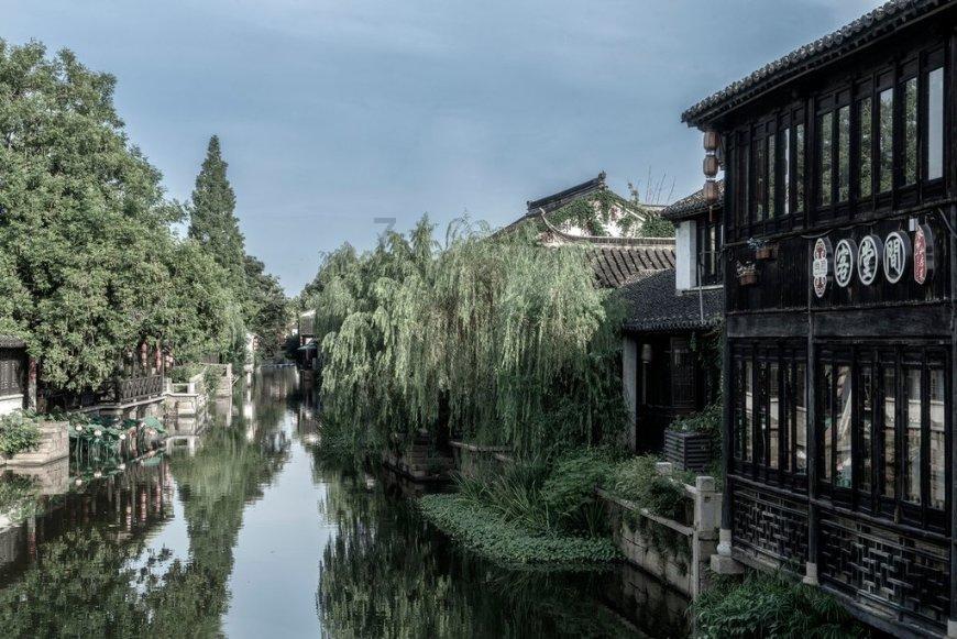 “村企共建”铺就乡村振兴路